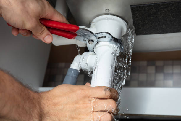 Best Carpet water damage restoration  in Wardsville, MO