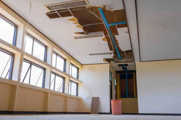 Best Water damage contractors near me  in Wardsville, MO