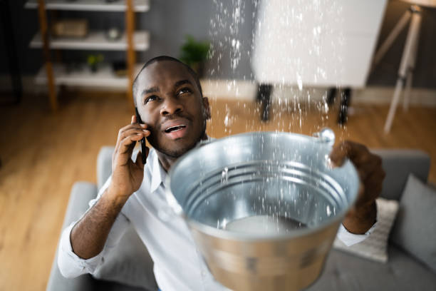 Best Commercial water damage restoration  in Wardsville, MO