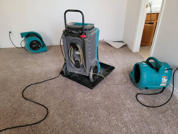 Best Water damage restoration experts  in Wardsville, MO