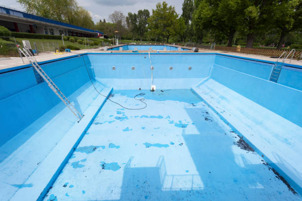 Best Water damage contractors near me  in Wardsville, MO