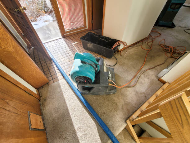 Best Water damage restoration near me  in Wardsville, MO