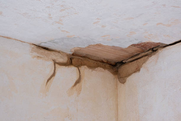 Best Water damage contractors near me  in Wardsville, MO