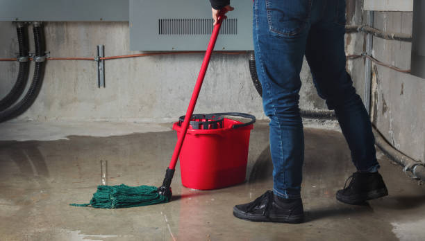 Best Emergency water extraction  in Wardsville, MO