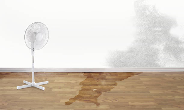 Wardsville, MO Water damage restoration Company