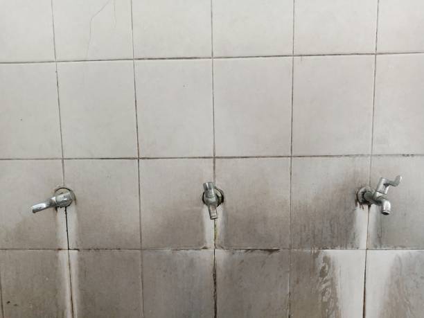 Best Water damage restoration near me  in Wardsville, MO