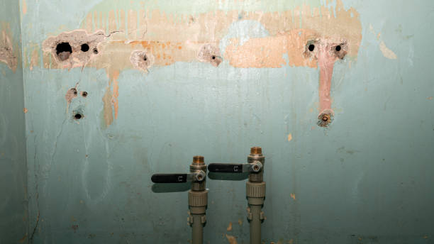 Best Flood damage cleanup  in Wardsville, MO