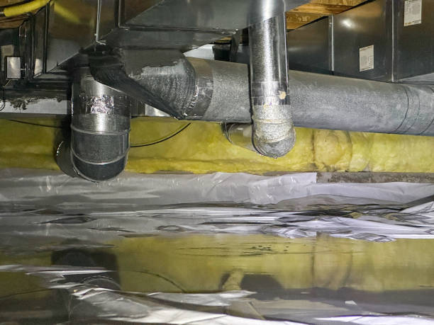 Carpet water damage restoration in Wardsville, MO
