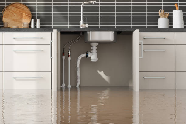 Best Water damage restoration near me  in Wardsville, MO